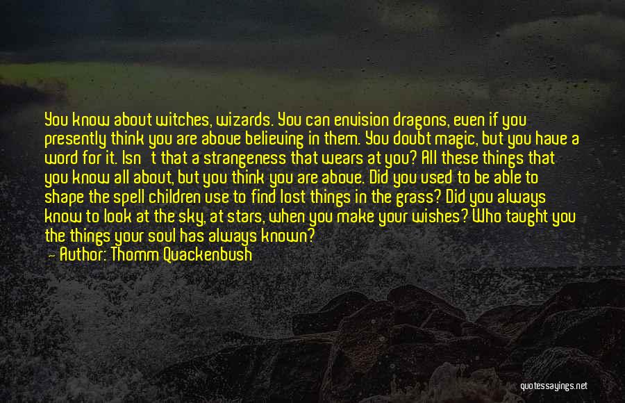 Thomm Quackenbush Quotes: You Know About Witches, Wizards. You Can Envision Dragons, Even If You Presently Think You Are Above Believing In Them.