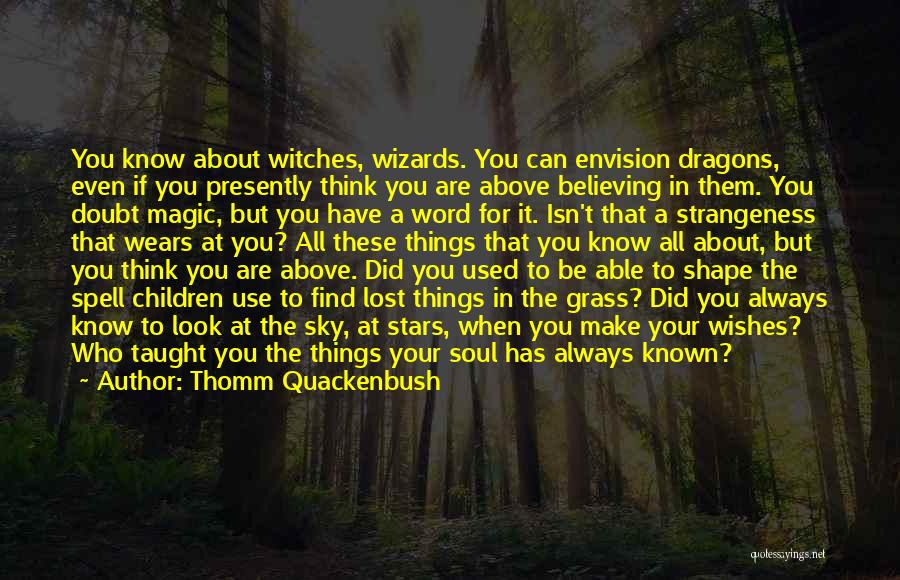 Thomm Quackenbush Quotes: You Know About Witches, Wizards. You Can Envision Dragons, Even If You Presently Think You Are Above Believing In Them.