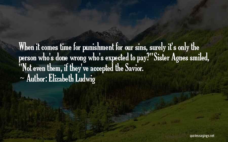 Elizabeth Ludwig Quotes: When It Comes Time For Punishment For Our Sins, Surely It's Only The Person Who's Done Wrong Who's Expected To