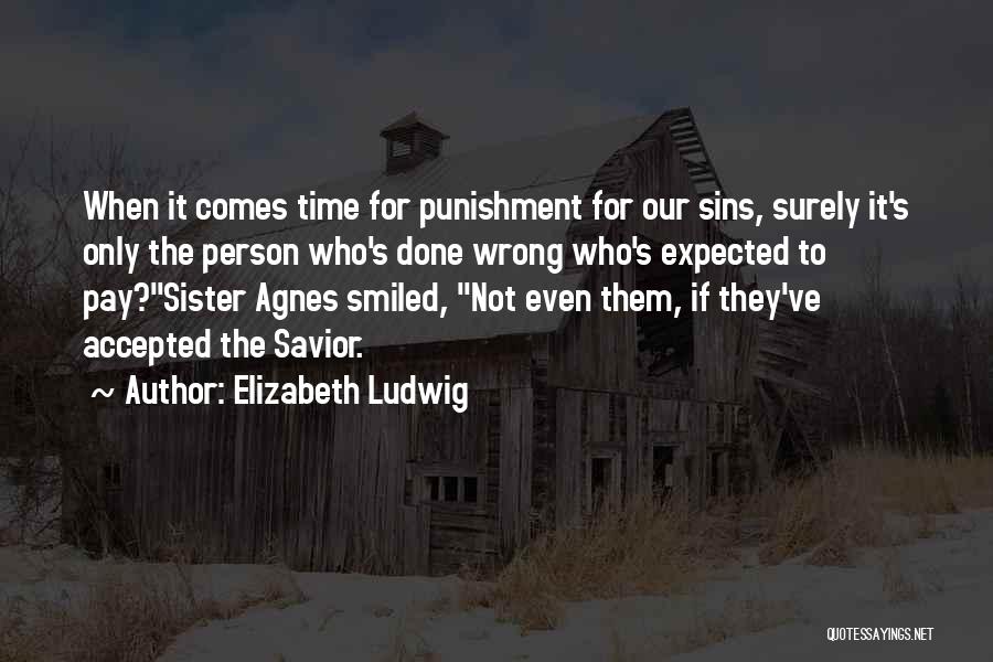 Elizabeth Ludwig Quotes: When It Comes Time For Punishment For Our Sins, Surely It's Only The Person Who's Done Wrong Who's Expected To