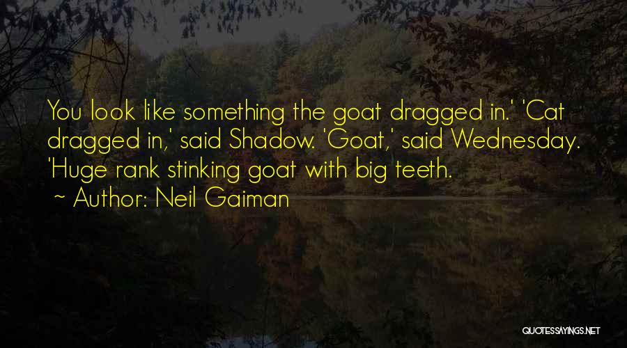 Neil Gaiman Quotes: You Look Like Something The Goat Dragged In.' 'cat Dragged In,' Said Shadow. 'goat,' Said Wednesday. 'huge Rank Stinking Goat