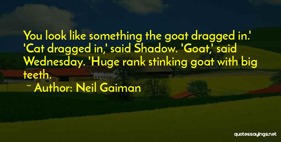 Neil Gaiman Quotes: You Look Like Something The Goat Dragged In.' 'cat Dragged In,' Said Shadow. 'goat,' Said Wednesday. 'huge Rank Stinking Goat