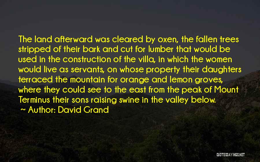 David Grand Quotes: The Land Afterward Was Cleared By Oxen, The Fallen Trees Stripped Of Their Bark And Cut For Lumber That Would