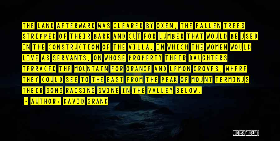 David Grand Quotes: The Land Afterward Was Cleared By Oxen, The Fallen Trees Stripped Of Their Bark And Cut For Lumber That Would