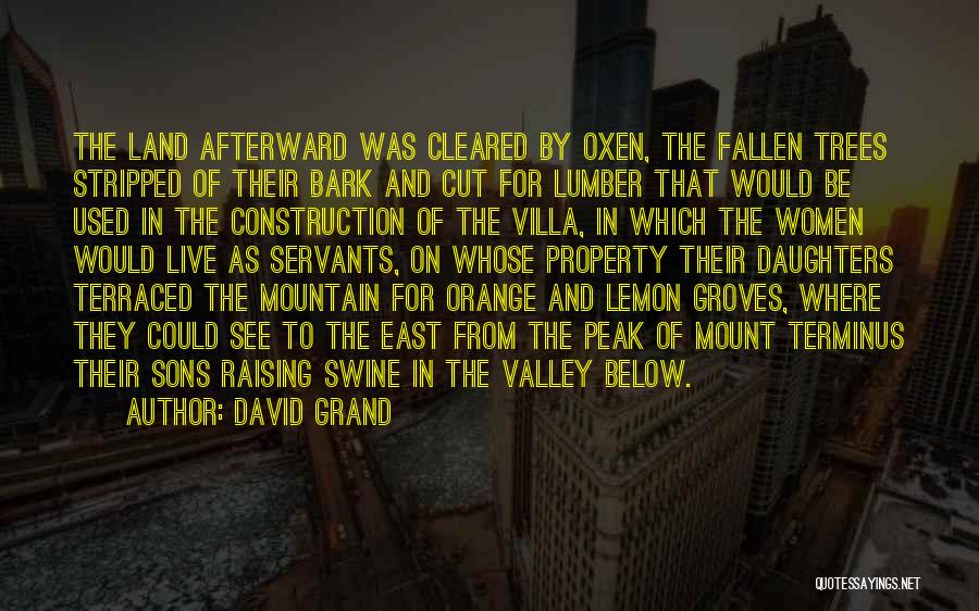 David Grand Quotes: The Land Afterward Was Cleared By Oxen, The Fallen Trees Stripped Of Their Bark And Cut For Lumber That Would