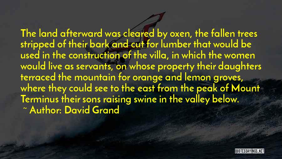 David Grand Quotes: The Land Afterward Was Cleared By Oxen, The Fallen Trees Stripped Of Their Bark And Cut For Lumber That Would