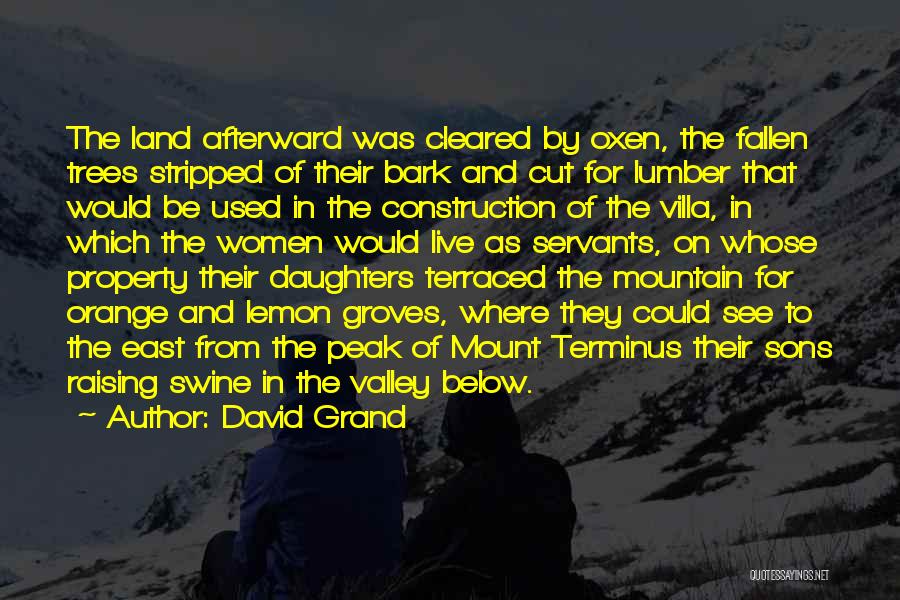 David Grand Quotes: The Land Afterward Was Cleared By Oxen, The Fallen Trees Stripped Of Their Bark And Cut For Lumber That Would