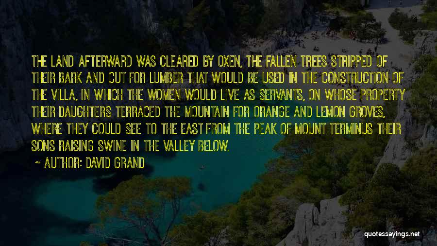 David Grand Quotes: The Land Afterward Was Cleared By Oxen, The Fallen Trees Stripped Of Their Bark And Cut For Lumber That Would