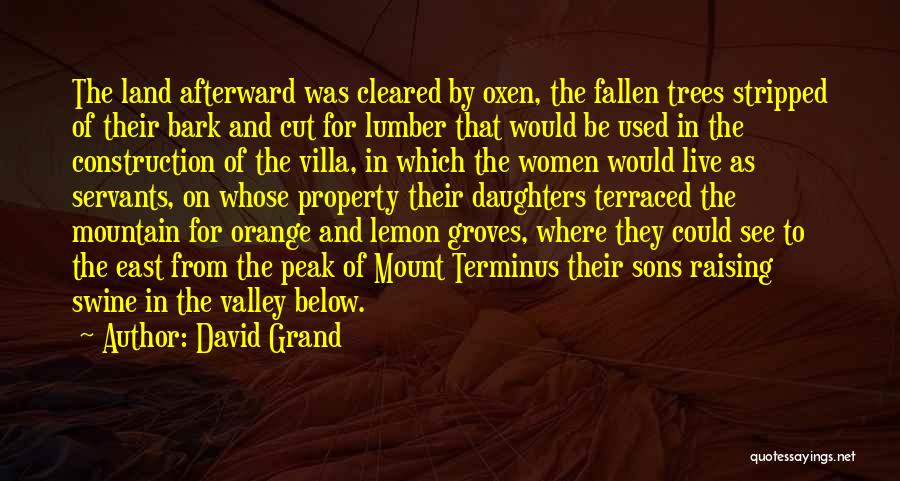 David Grand Quotes: The Land Afterward Was Cleared By Oxen, The Fallen Trees Stripped Of Their Bark And Cut For Lumber That Would