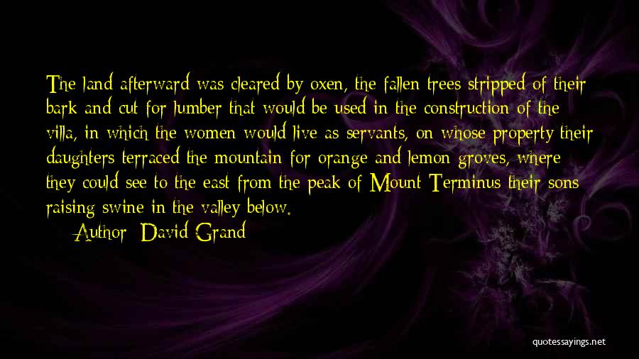 David Grand Quotes: The Land Afterward Was Cleared By Oxen, The Fallen Trees Stripped Of Their Bark And Cut For Lumber That Would