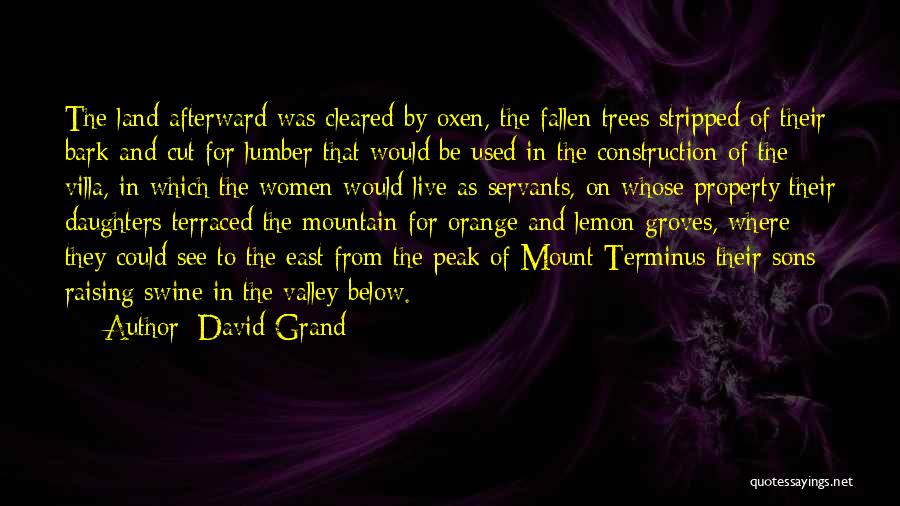 David Grand Quotes: The Land Afterward Was Cleared By Oxen, The Fallen Trees Stripped Of Their Bark And Cut For Lumber That Would