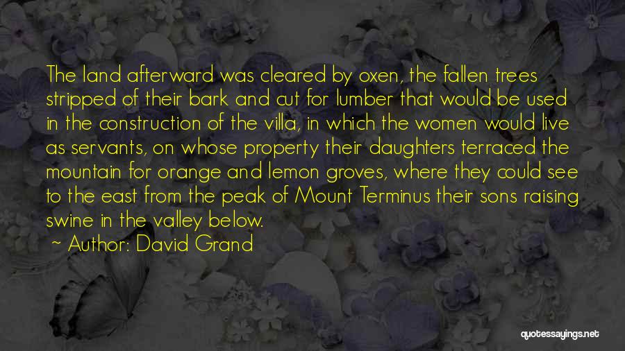 David Grand Quotes: The Land Afterward Was Cleared By Oxen, The Fallen Trees Stripped Of Their Bark And Cut For Lumber That Would