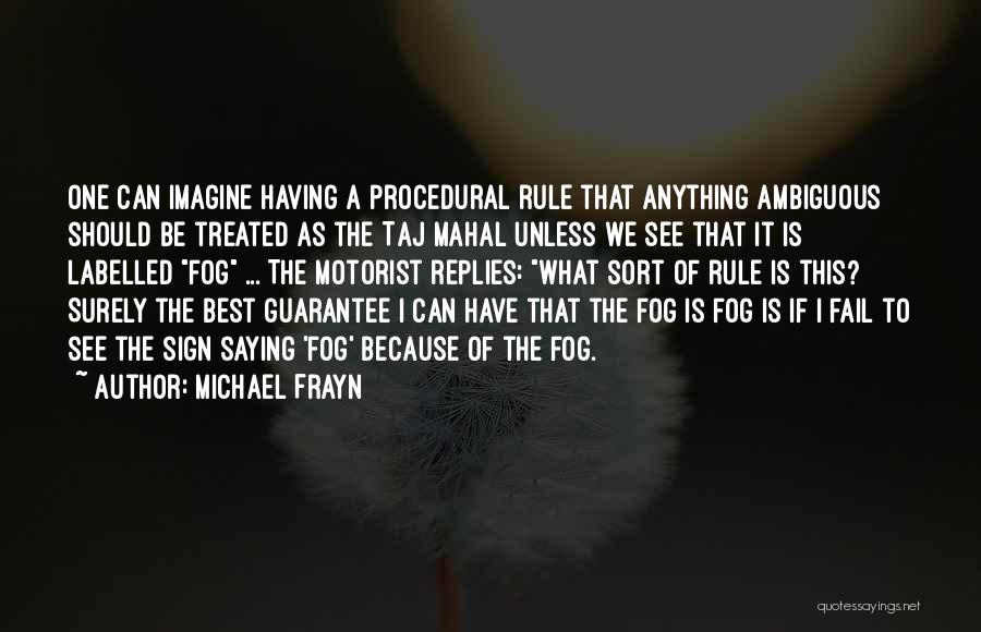 Michael Frayn Quotes: One Can Imagine Having A Procedural Rule That Anything Ambiguous Should Be Treated As The Taj Mahal Unless We See