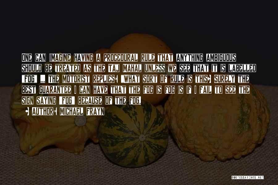 Michael Frayn Quotes: One Can Imagine Having A Procedural Rule That Anything Ambiguous Should Be Treated As The Taj Mahal Unless We See