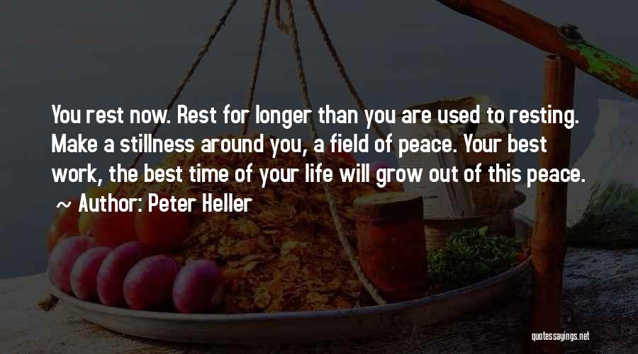 Peter Heller Quotes: You Rest Now. Rest For Longer Than You Are Used To Resting. Make A Stillness Around You, A Field Of