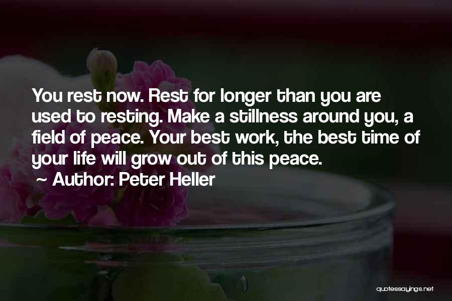 Peter Heller Quotes: You Rest Now. Rest For Longer Than You Are Used To Resting. Make A Stillness Around You, A Field Of