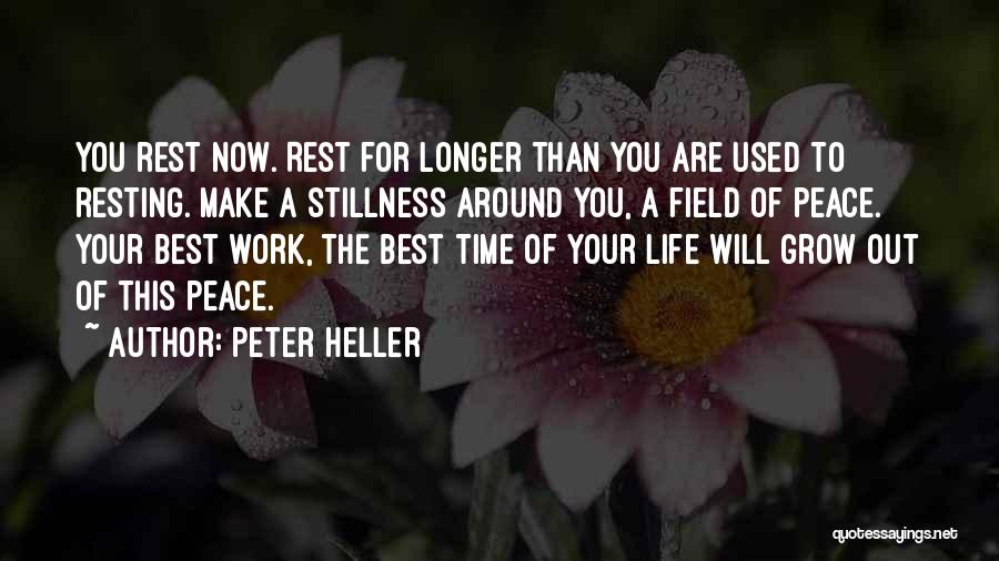 Peter Heller Quotes: You Rest Now. Rest For Longer Than You Are Used To Resting. Make A Stillness Around You, A Field Of