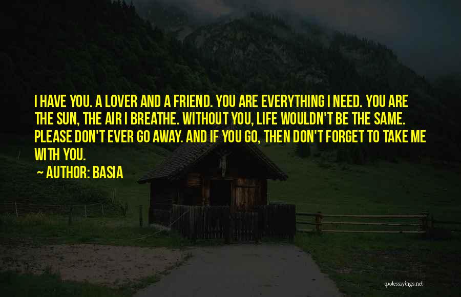 Basia Quotes: I Have You. A Lover And A Friend. You Are Everything I Need. You Are The Sun, The Air I