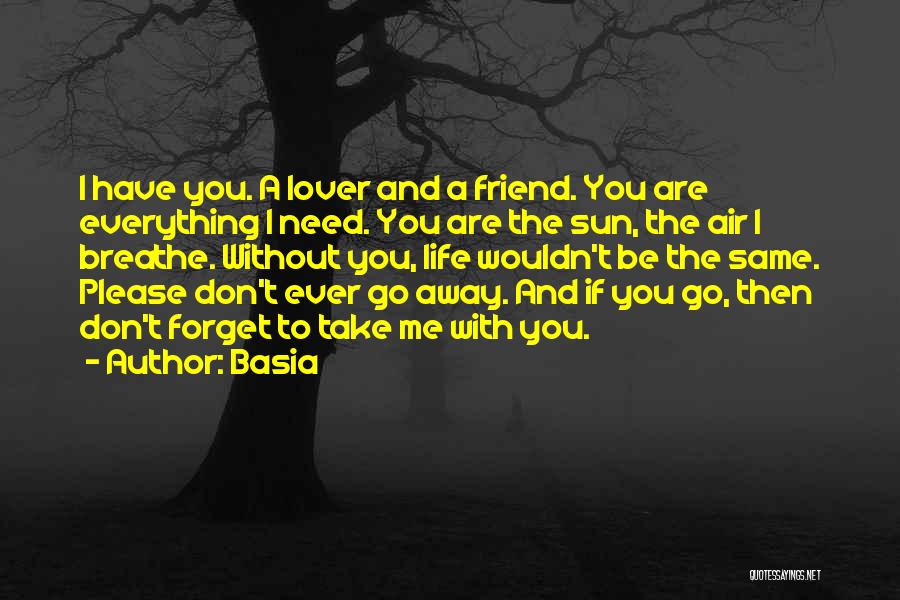 Basia Quotes: I Have You. A Lover And A Friend. You Are Everything I Need. You Are The Sun, The Air I