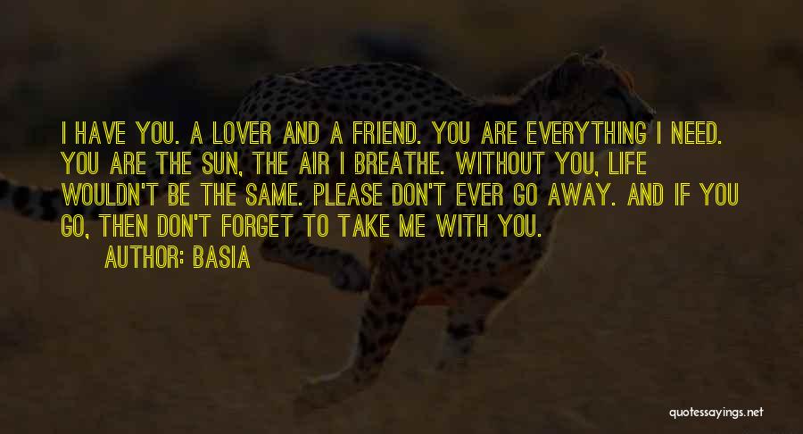 Basia Quotes: I Have You. A Lover And A Friend. You Are Everything I Need. You Are The Sun, The Air I