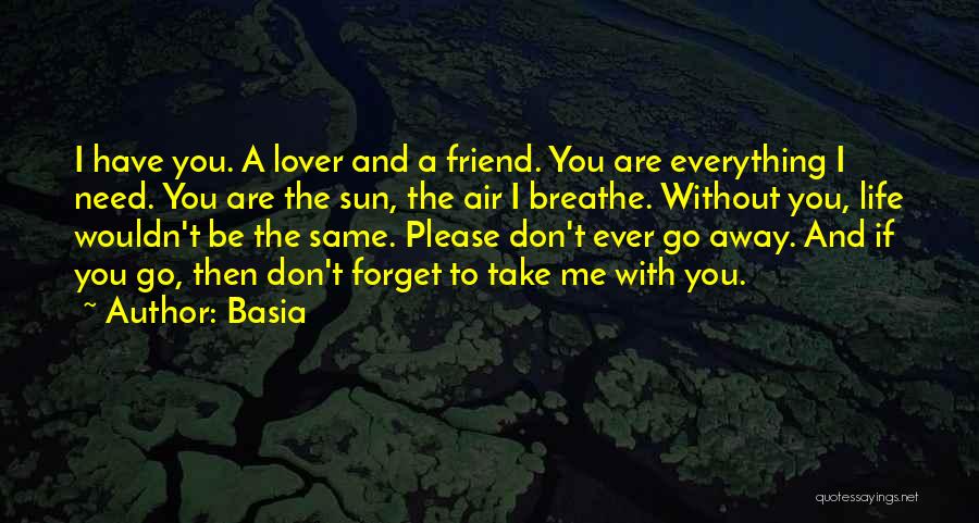 Basia Quotes: I Have You. A Lover And A Friend. You Are Everything I Need. You Are The Sun, The Air I