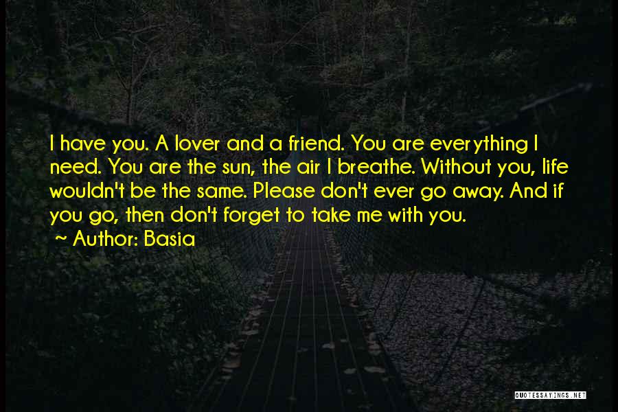 Basia Quotes: I Have You. A Lover And A Friend. You Are Everything I Need. You Are The Sun, The Air I