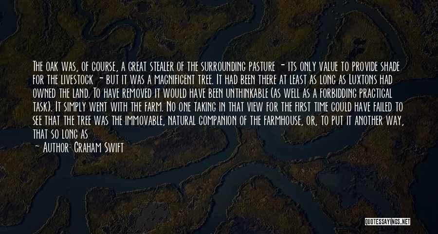 Graham Swift Quotes: The Oak Was, Of Course, A Great Stealer Of The Surrounding Pasture - Its Only Value To Provide Shade For