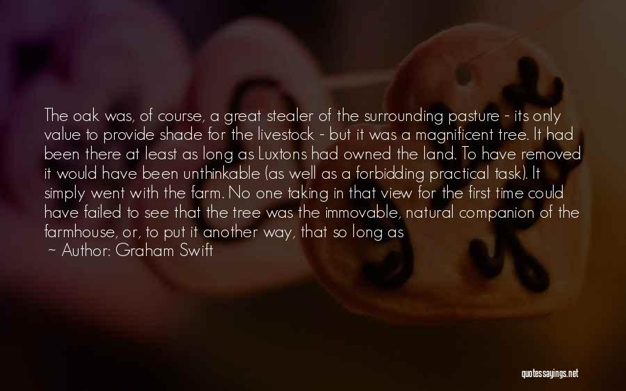 Graham Swift Quotes: The Oak Was, Of Course, A Great Stealer Of The Surrounding Pasture - Its Only Value To Provide Shade For
