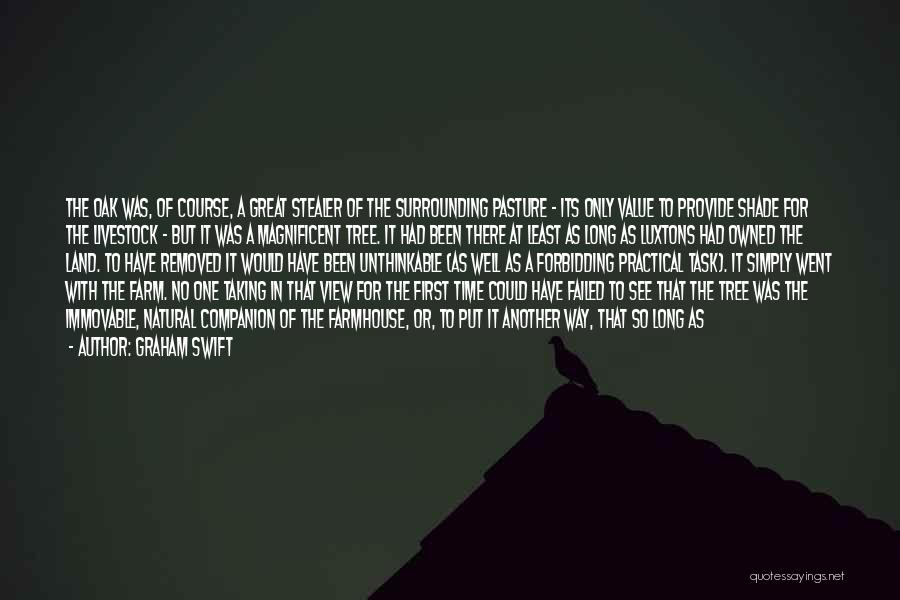Graham Swift Quotes: The Oak Was, Of Course, A Great Stealer Of The Surrounding Pasture - Its Only Value To Provide Shade For