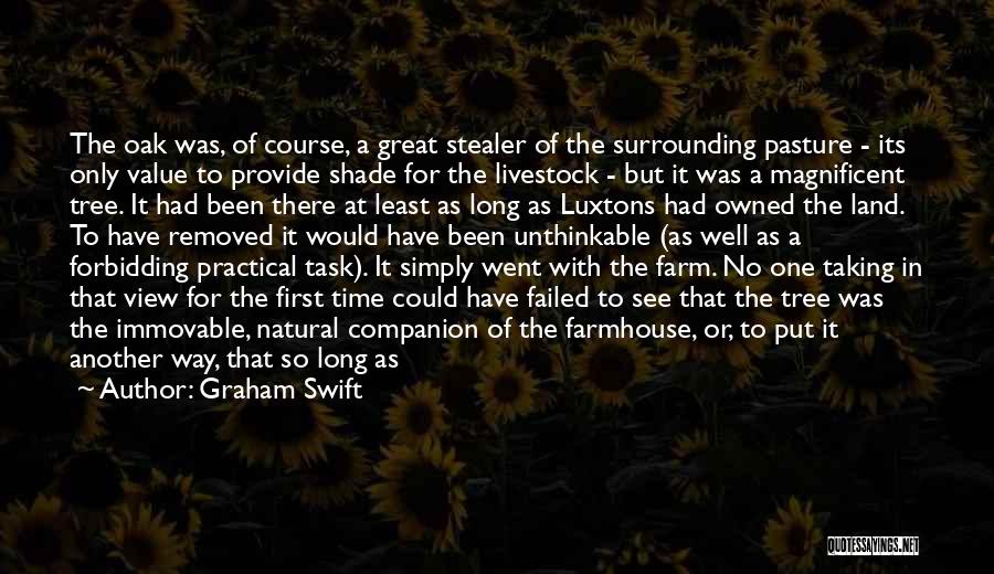 Graham Swift Quotes: The Oak Was, Of Course, A Great Stealer Of The Surrounding Pasture - Its Only Value To Provide Shade For