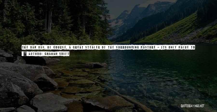 Graham Swift Quotes: The Oak Was, Of Course, A Great Stealer Of The Surrounding Pasture - Its Only Value To Provide Shade For