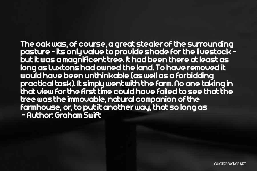 Graham Swift Quotes: The Oak Was, Of Course, A Great Stealer Of The Surrounding Pasture - Its Only Value To Provide Shade For