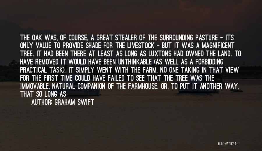 Graham Swift Quotes: The Oak Was, Of Course, A Great Stealer Of The Surrounding Pasture - Its Only Value To Provide Shade For