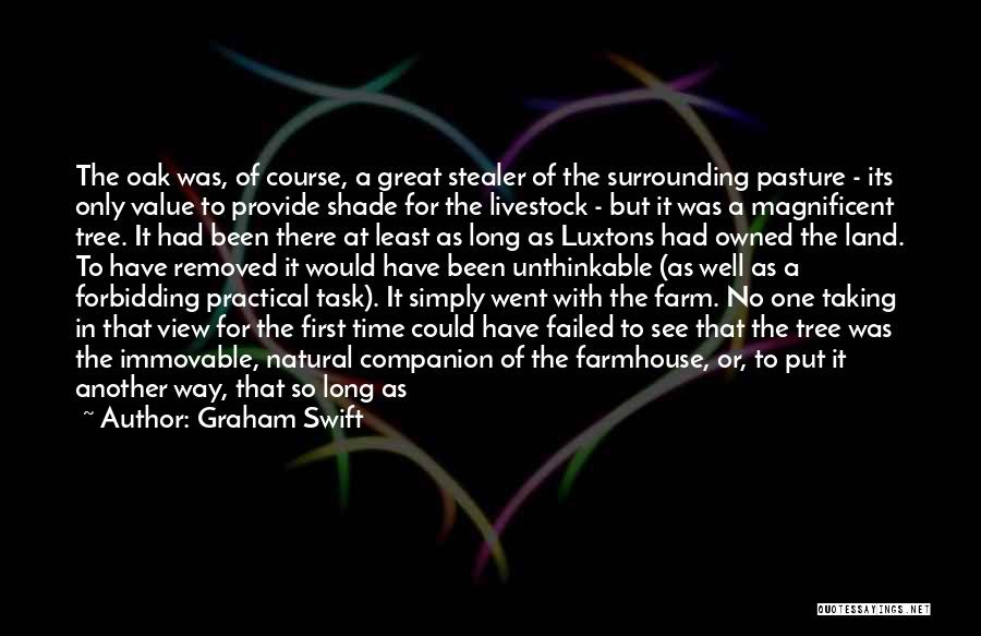 Graham Swift Quotes: The Oak Was, Of Course, A Great Stealer Of The Surrounding Pasture - Its Only Value To Provide Shade For