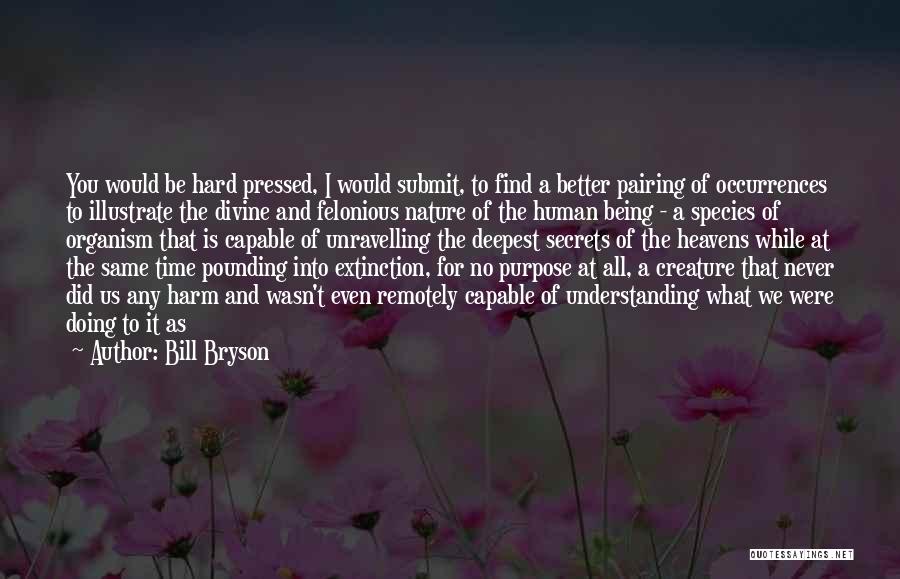 Bill Bryson Quotes: You Would Be Hard Pressed, I Would Submit, To Find A Better Pairing Of Occurrences To Illustrate The Divine And