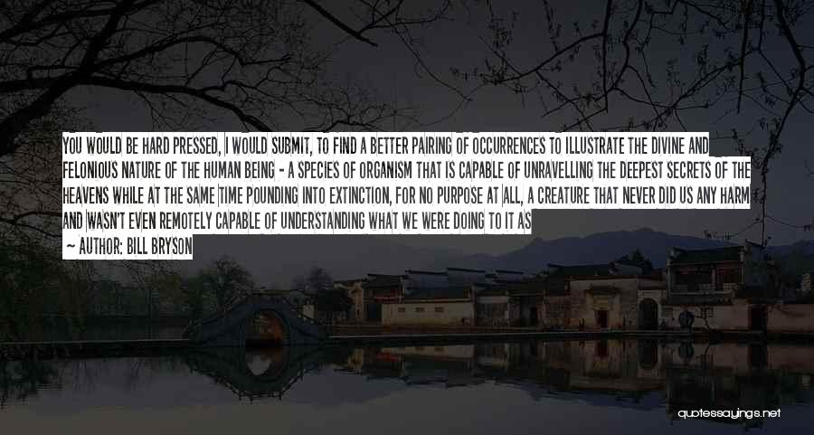 Bill Bryson Quotes: You Would Be Hard Pressed, I Would Submit, To Find A Better Pairing Of Occurrences To Illustrate The Divine And