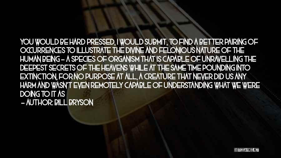 Bill Bryson Quotes: You Would Be Hard Pressed, I Would Submit, To Find A Better Pairing Of Occurrences To Illustrate The Divine And
