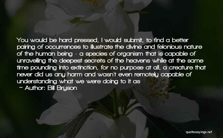 Bill Bryson Quotes: You Would Be Hard Pressed, I Would Submit, To Find A Better Pairing Of Occurrences To Illustrate The Divine And