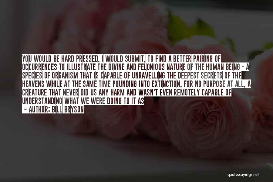 Bill Bryson Quotes: You Would Be Hard Pressed, I Would Submit, To Find A Better Pairing Of Occurrences To Illustrate The Divine And
