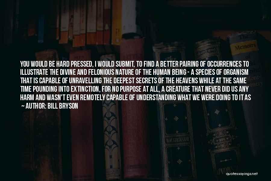 Bill Bryson Quotes: You Would Be Hard Pressed, I Would Submit, To Find A Better Pairing Of Occurrences To Illustrate The Divine And