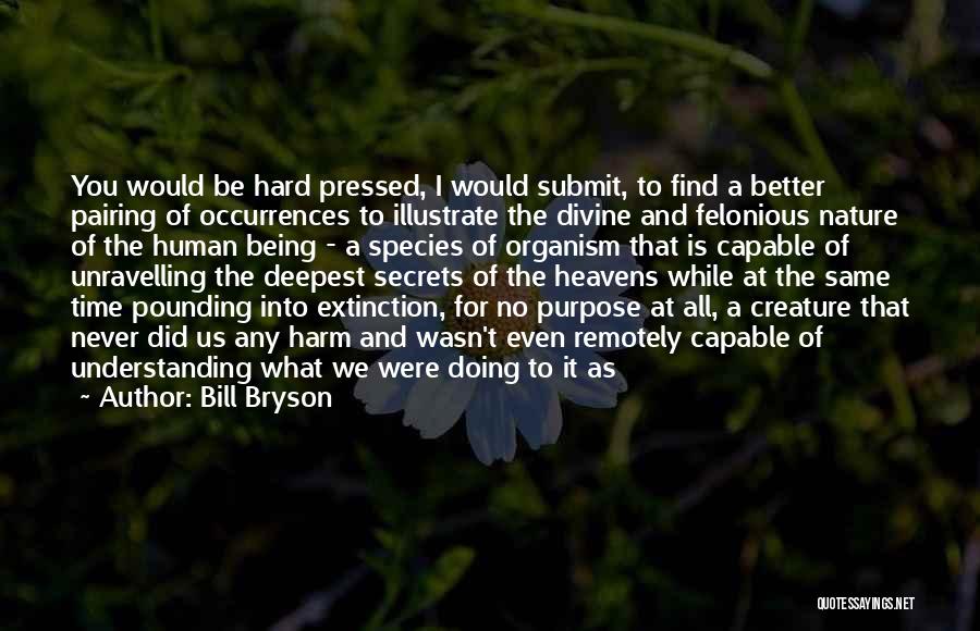 Bill Bryson Quotes: You Would Be Hard Pressed, I Would Submit, To Find A Better Pairing Of Occurrences To Illustrate The Divine And
