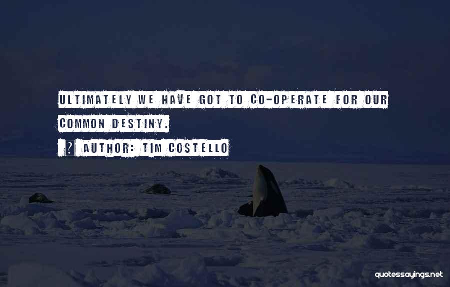 Tim Costello Quotes: Ultimately We Have Got To Co-operate For Our Common Destiny.