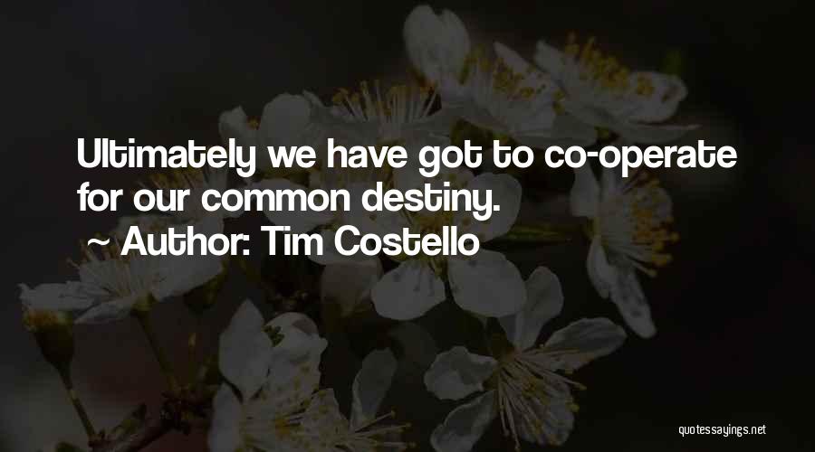 Tim Costello Quotes: Ultimately We Have Got To Co-operate For Our Common Destiny.