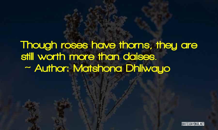 Matshona Dhliwayo Quotes: Though Roses Have Thorns, They Are Still Worth More Than Daises.