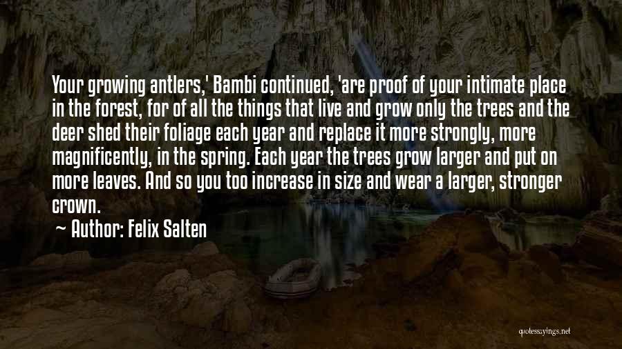 Felix Salten Quotes: Your Growing Antlers,' Bambi Continued, 'are Proof Of Your Intimate Place In The Forest, For Of All The Things That