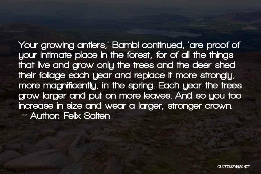 Felix Salten Quotes: Your Growing Antlers,' Bambi Continued, 'are Proof Of Your Intimate Place In The Forest, For Of All The Things That