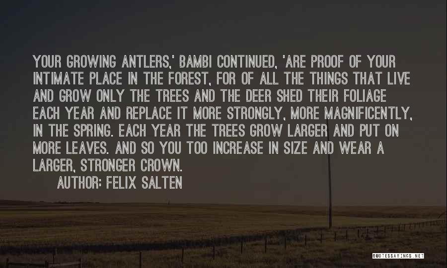 Felix Salten Quotes: Your Growing Antlers,' Bambi Continued, 'are Proof Of Your Intimate Place In The Forest, For Of All The Things That
