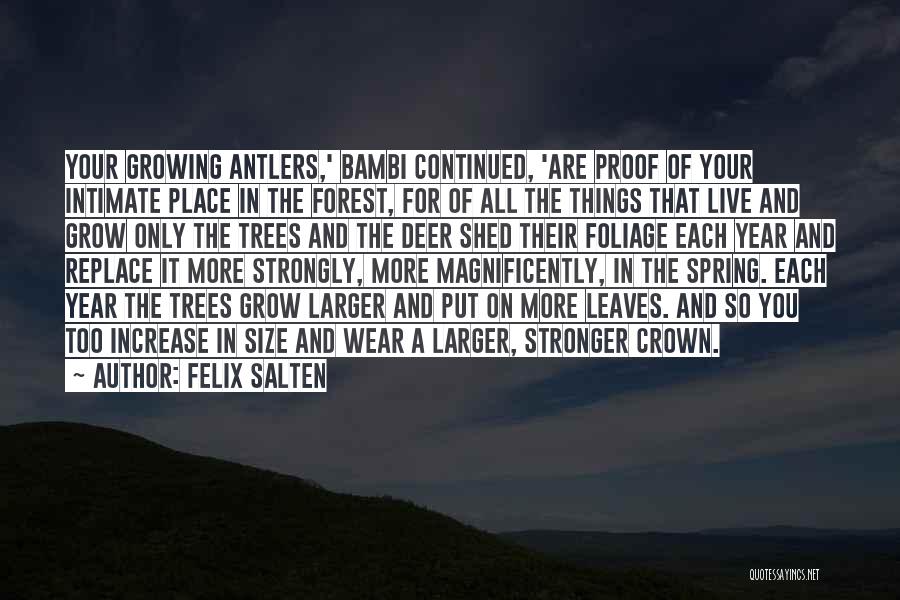 Felix Salten Quotes: Your Growing Antlers,' Bambi Continued, 'are Proof Of Your Intimate Place In The Forest, For Of All The Things That