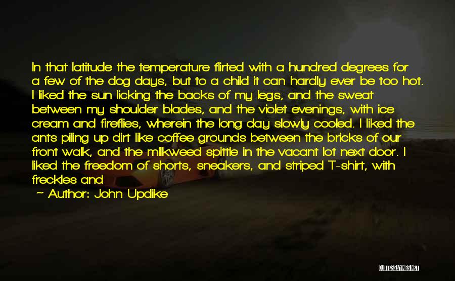 John Updike Quotes: In That Latitude The Temperature Flirted With A Hundred Degrees For A Few Of The Dog Days, But To A