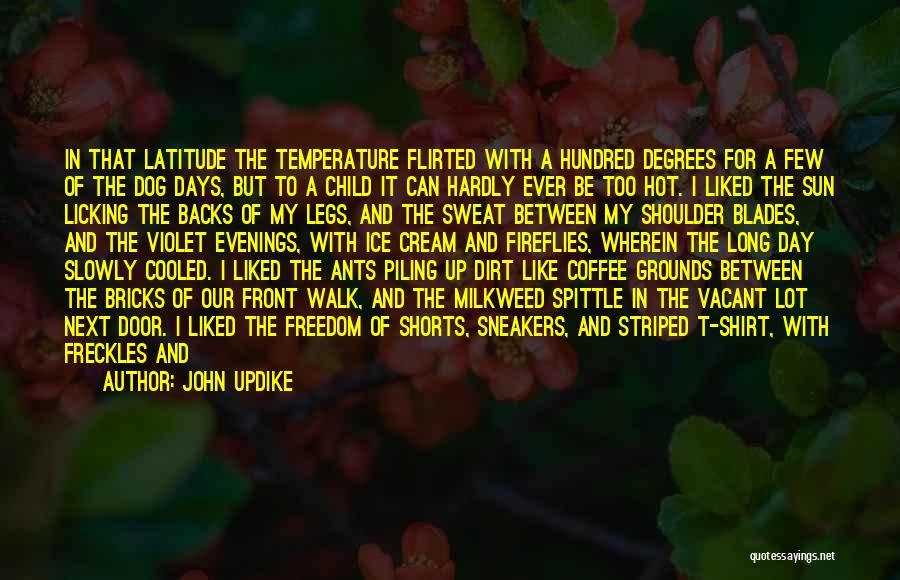 John Updike Quotes: In That Latitude The Temperature Flirted With A Hundred Degrees For A Few Of The Dog Days, But To A